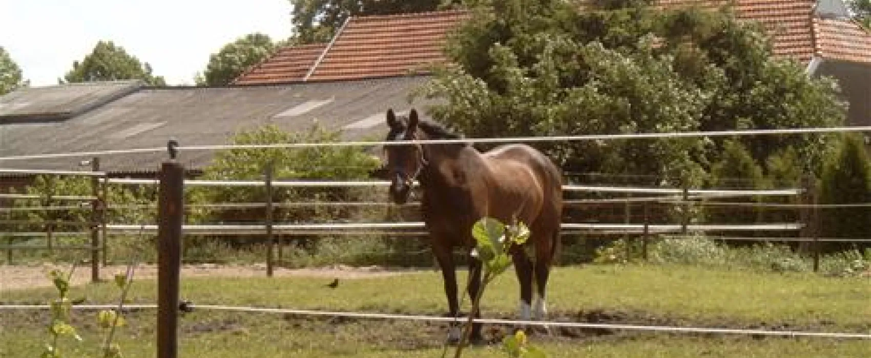Minicamping de Wolvenhoeve