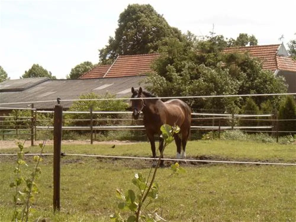 Minicamping de Wolvenhoeve