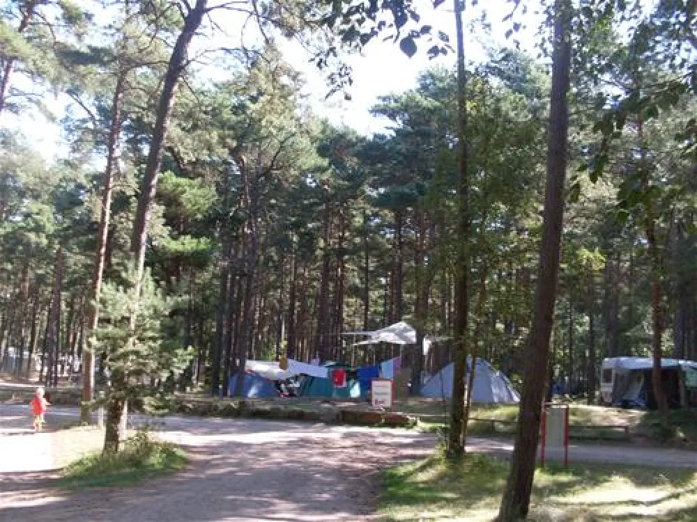 Regenbogen Nonnevitz