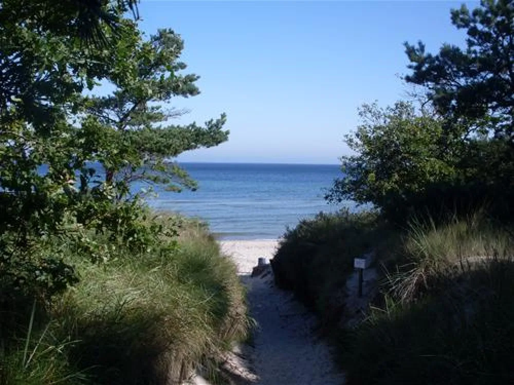 Regenbogen Nonnevitz