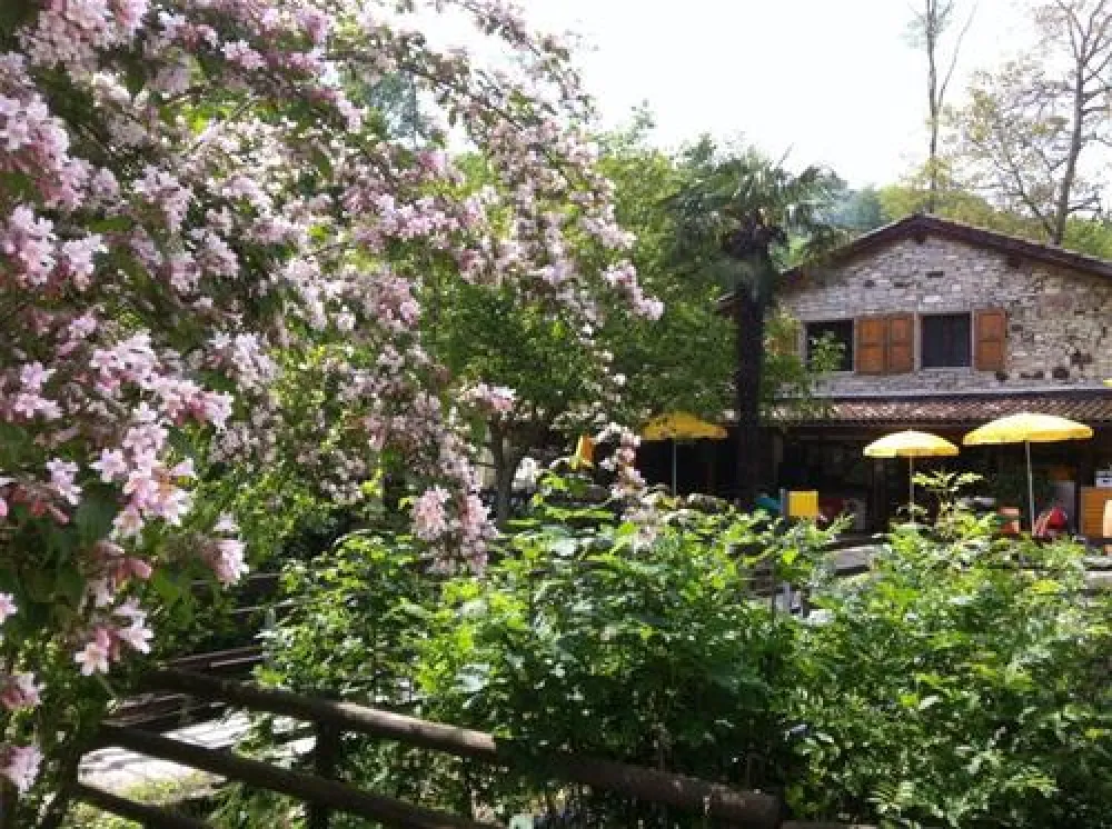 TCS Camping Meride - Mendrisio