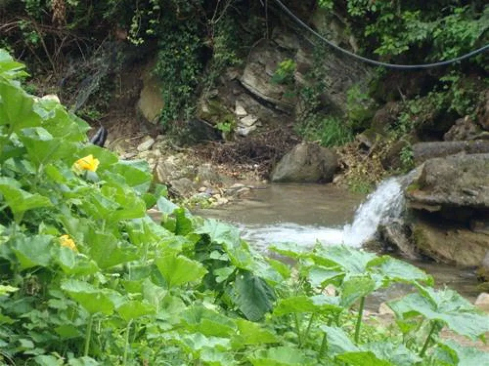 TCS Camping Meride - Mendrisio