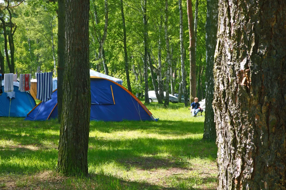 OstseeCamp Dierhagen GbR