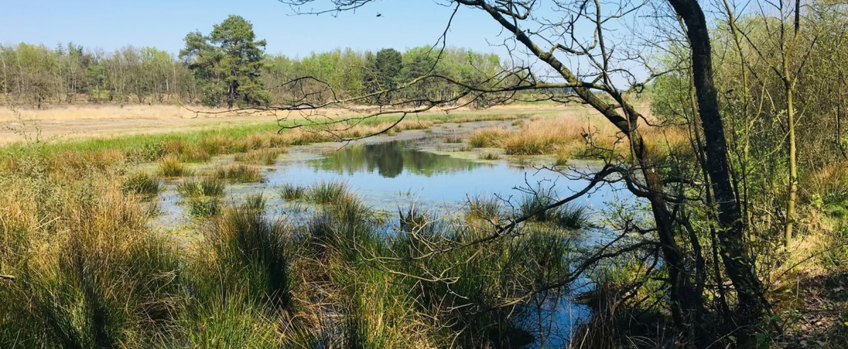 Camping Holsteenbron