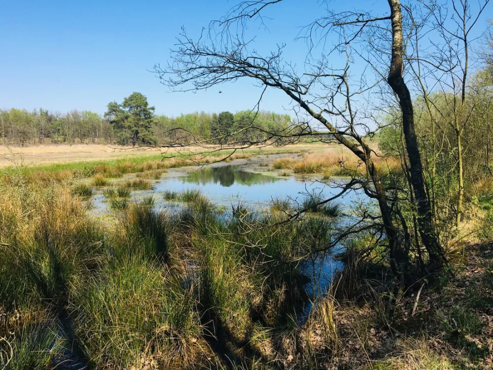 Camping Holsteenbron