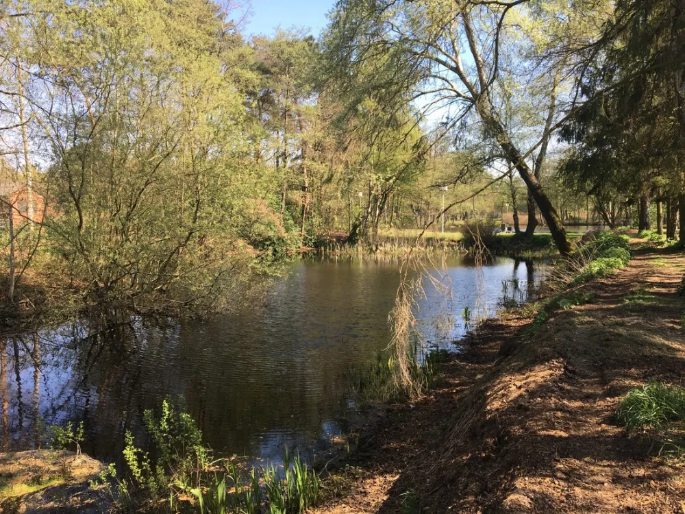 Camping Holsteenbron