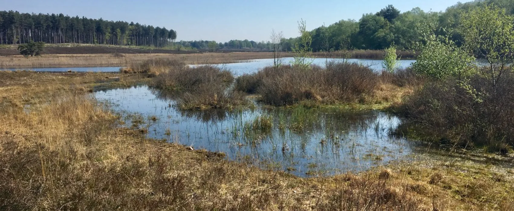 Camping Holsteenbron