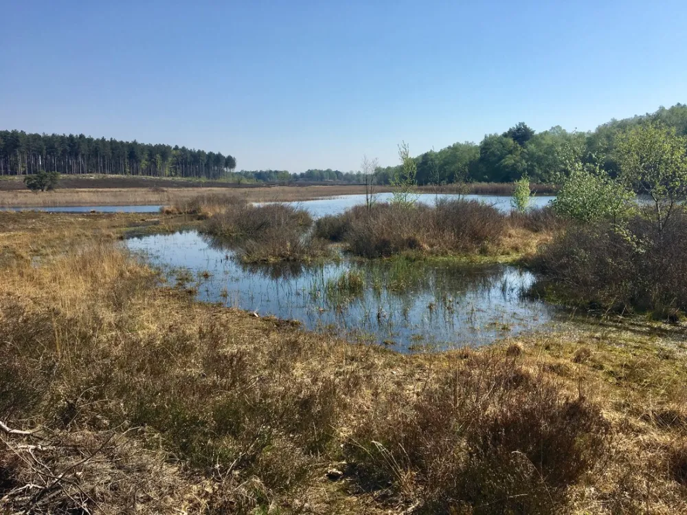 Camping Holsteenbron