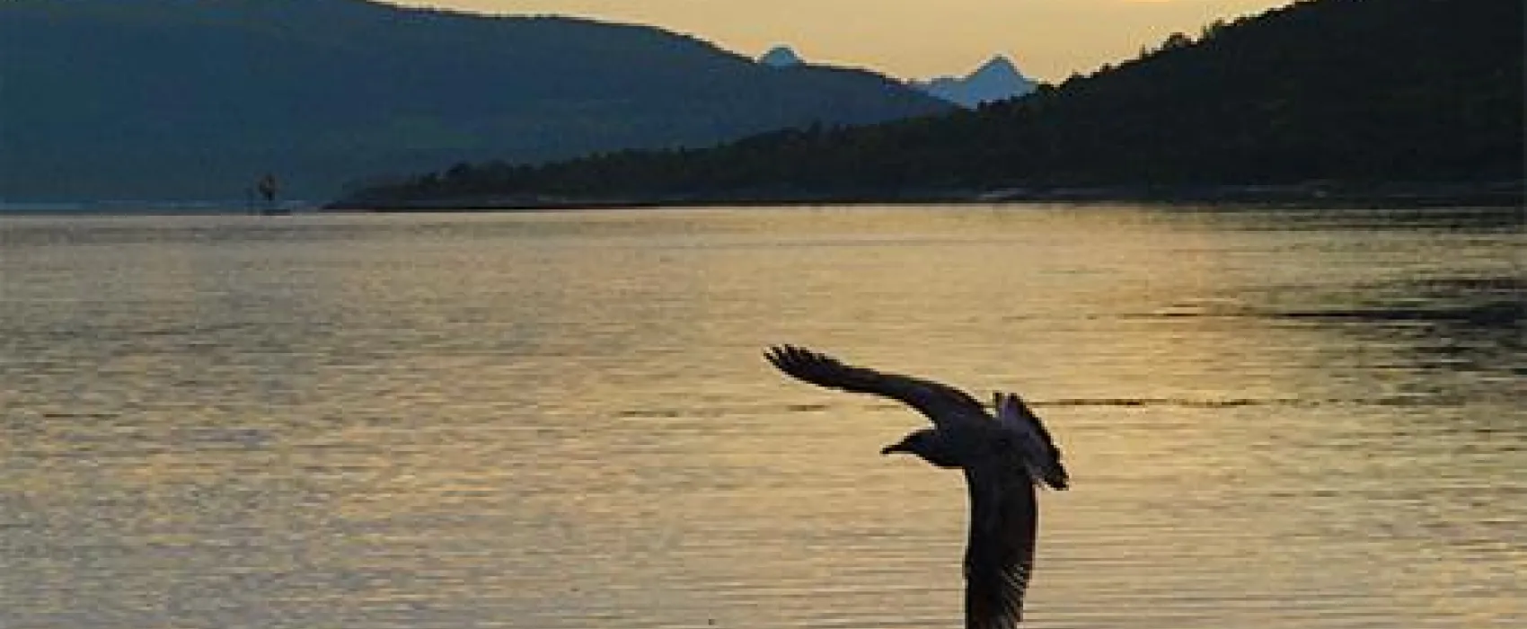 NAF-Camping Ulvsvaag