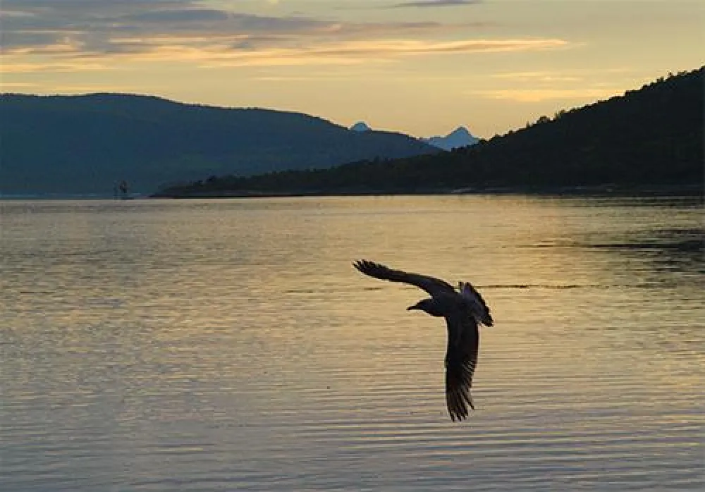 NAF-Camping Ulvsvaag