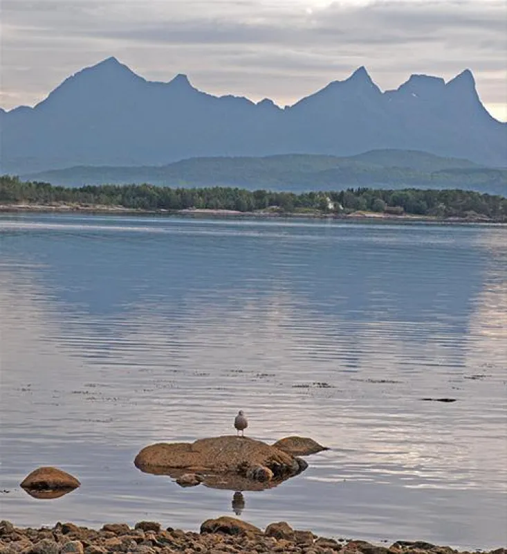 NAF-Camping Ulvsvaag