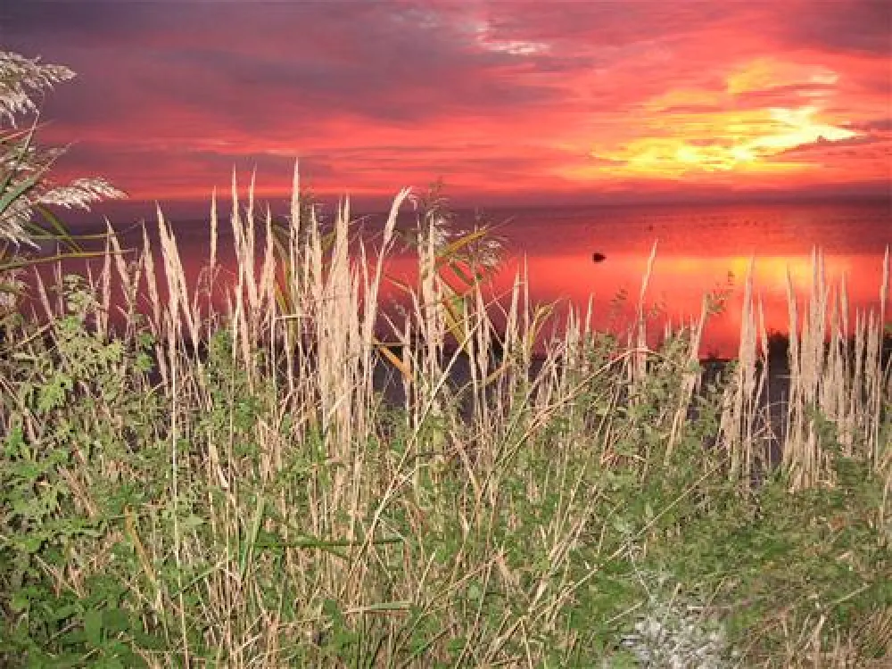 Camping am Schaproder Bodden