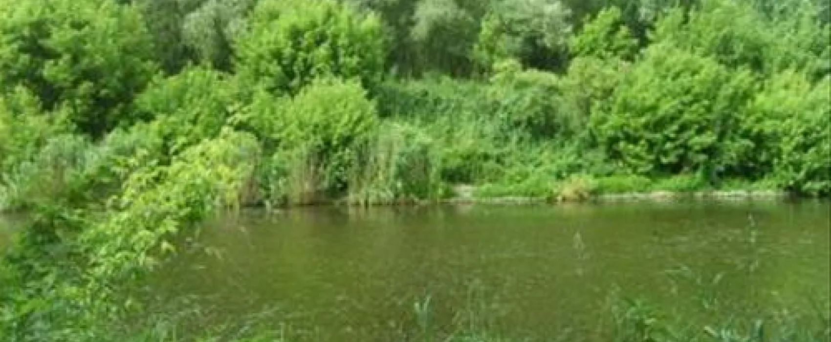 Campingplatz Berlin-Wannsee