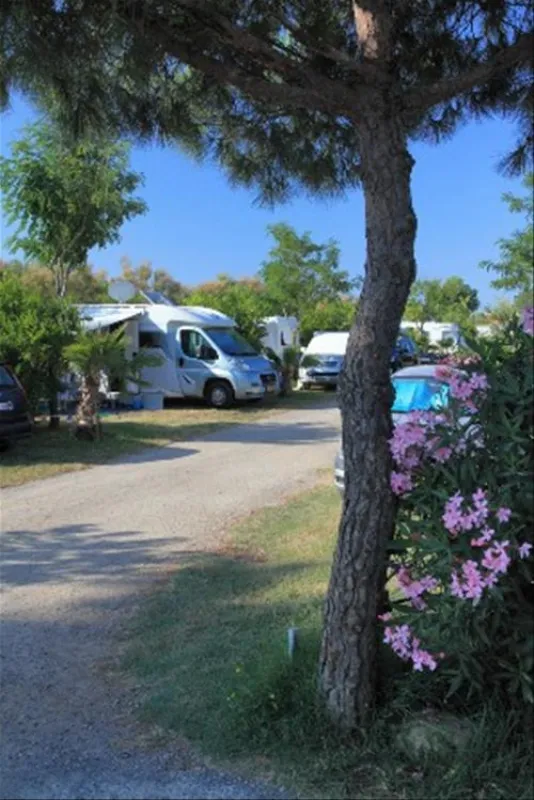 Camping Le Neptune