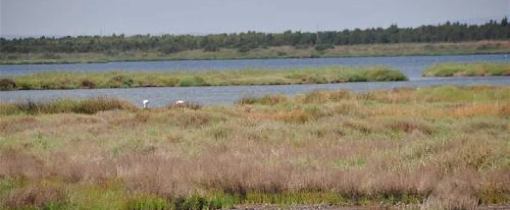 Camping S`Ena Arrubia