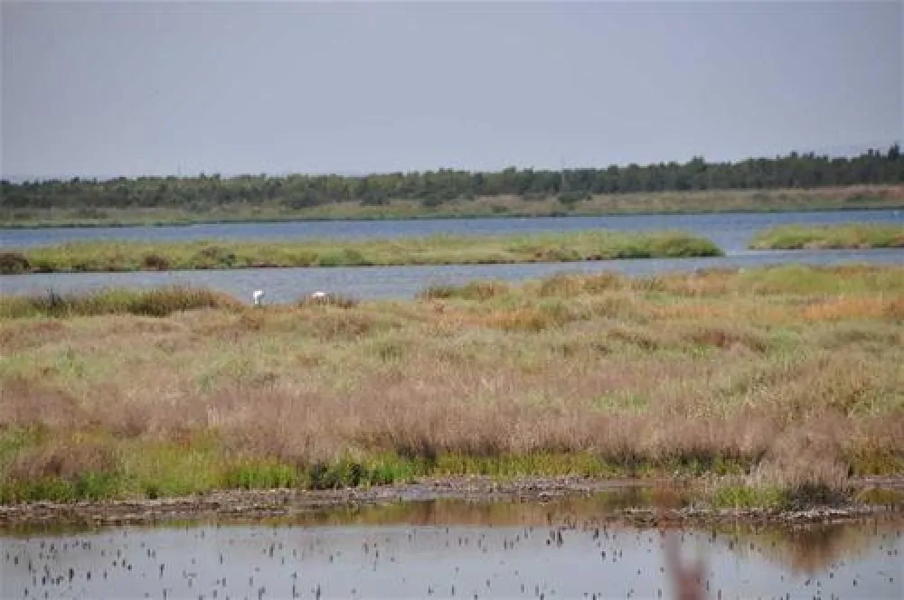 Camping S`Ena Arrubia