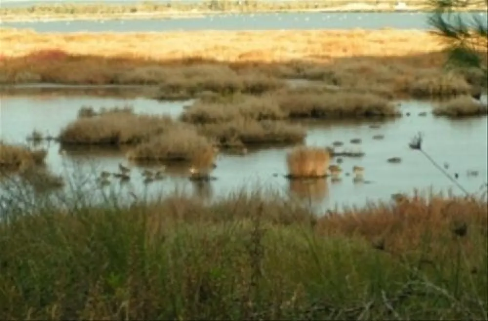 Camping S`Ena Arrubia