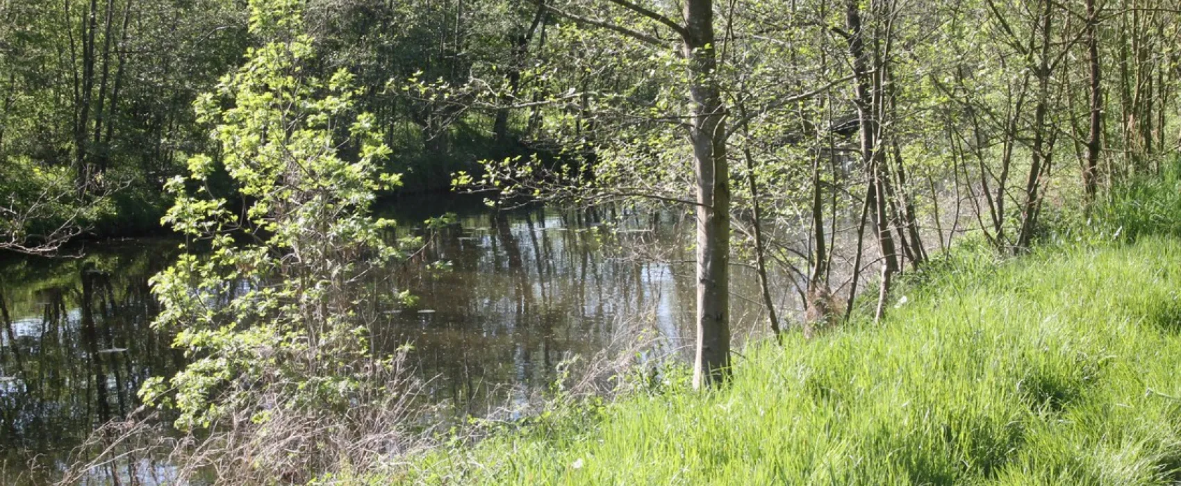 Minicamping Het Brook