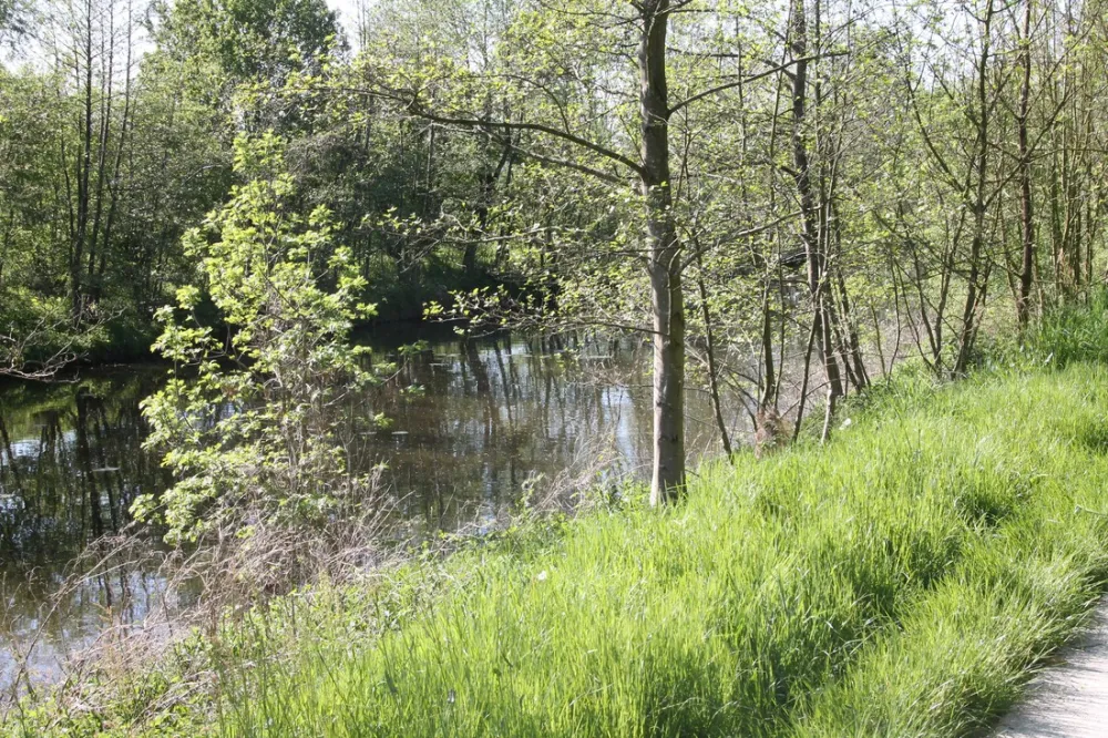 Minicamping Het Brook