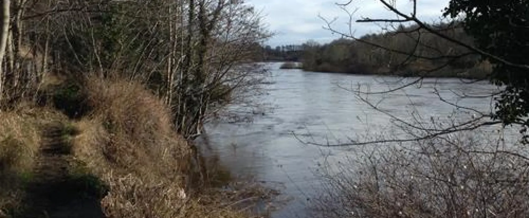 The High Hermitage Caravan Park