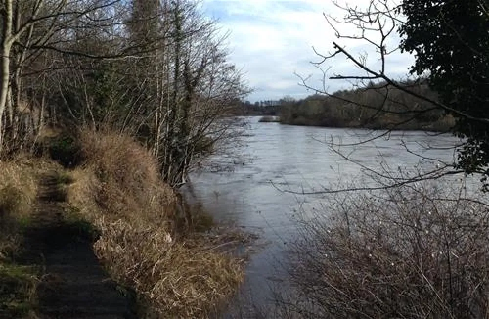 The High Hermitage Caravan Park