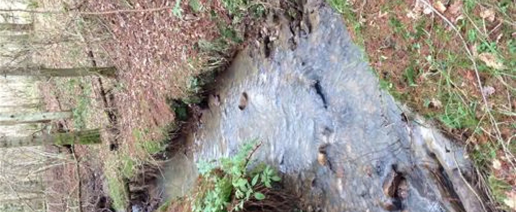 The High Hermitage Caravan Park