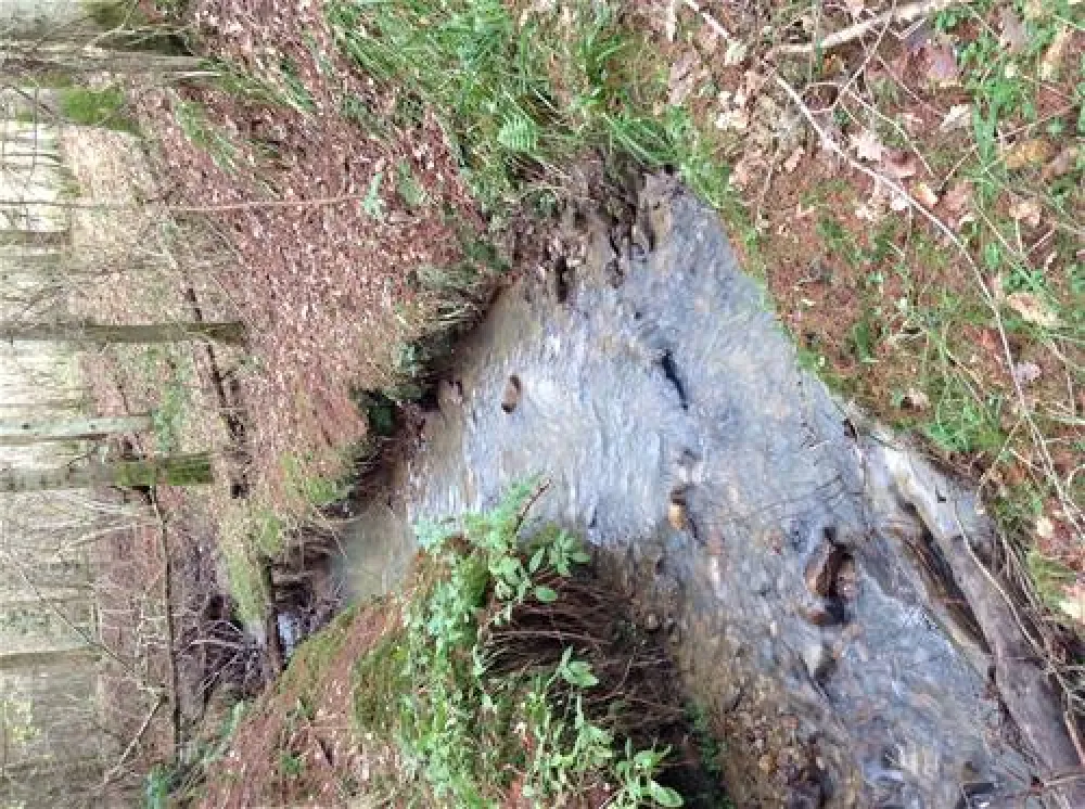 The High Hermitage Caravan Park