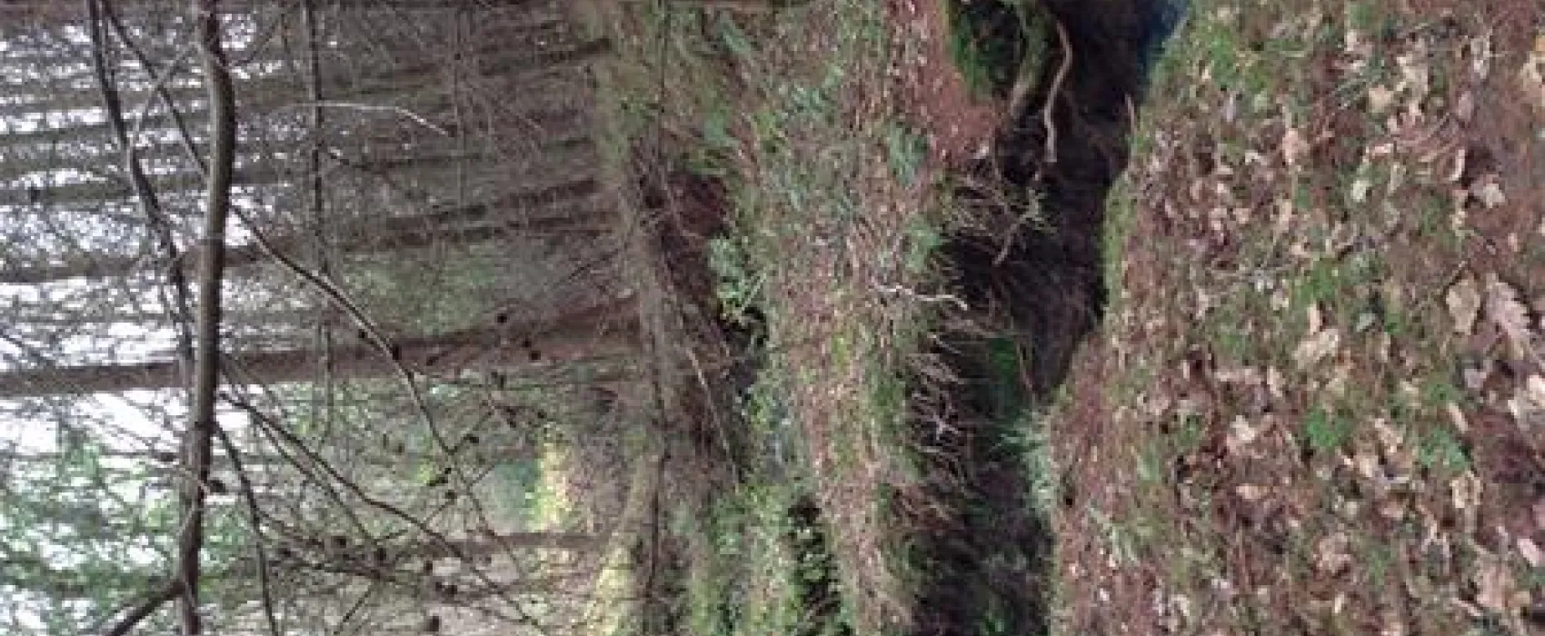 The High Hermitage Caravan Park