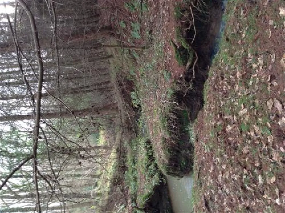 The High Hermitage Caravan Park