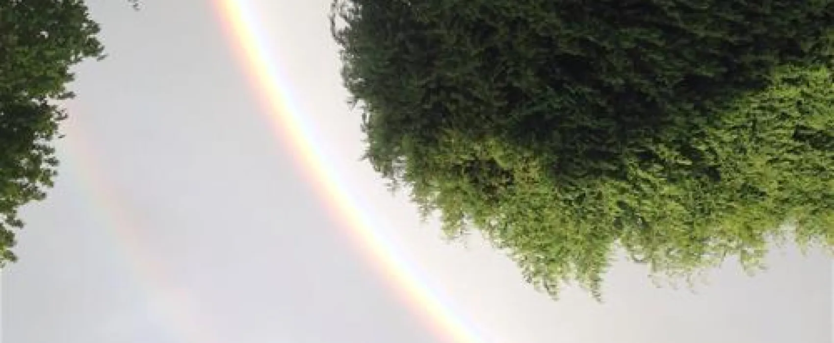 The High Hermitage Caravan Park