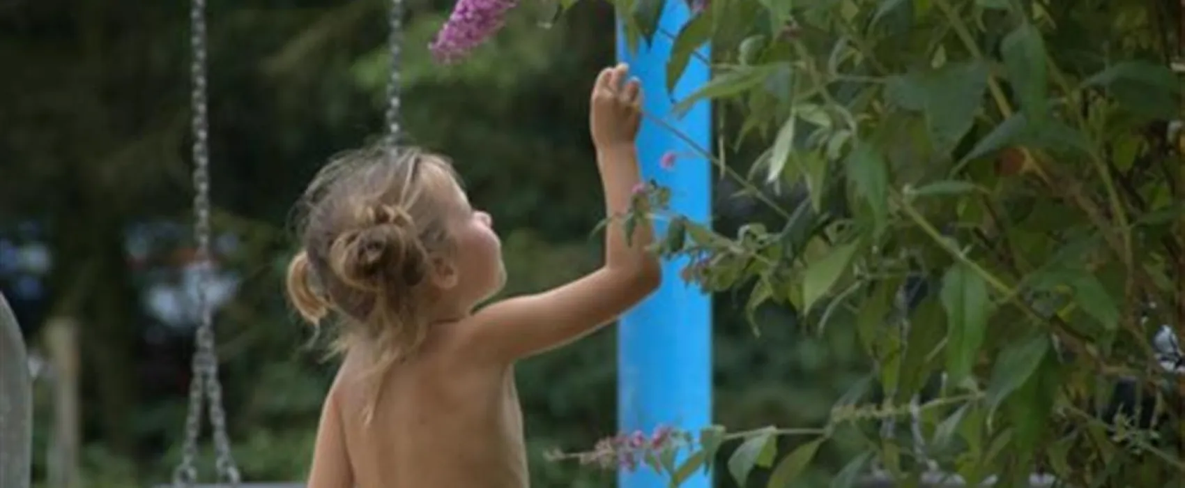 Camping de Vlinderhoeve