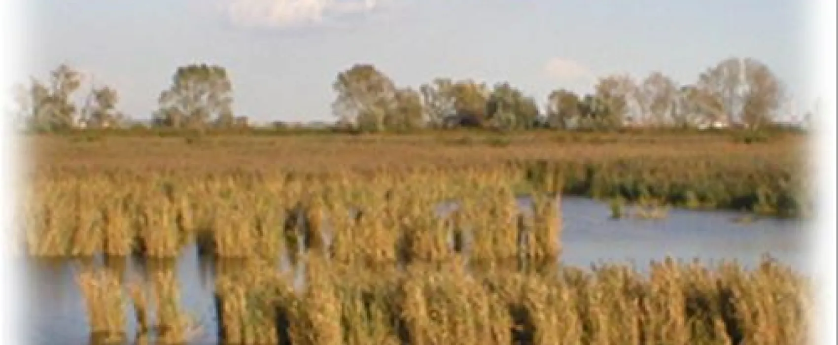 Camping Village Residence al Parco del Delta