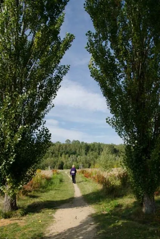 SeeCamping Zittauer Gebirge