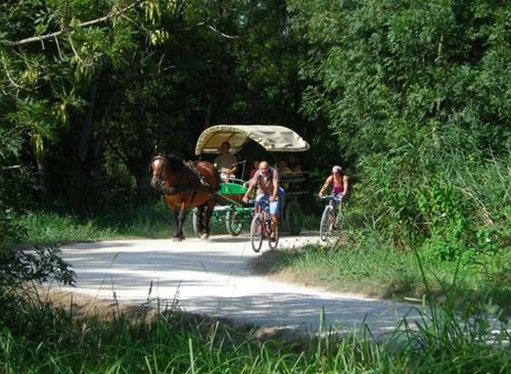 Flower Camping Le Lidon