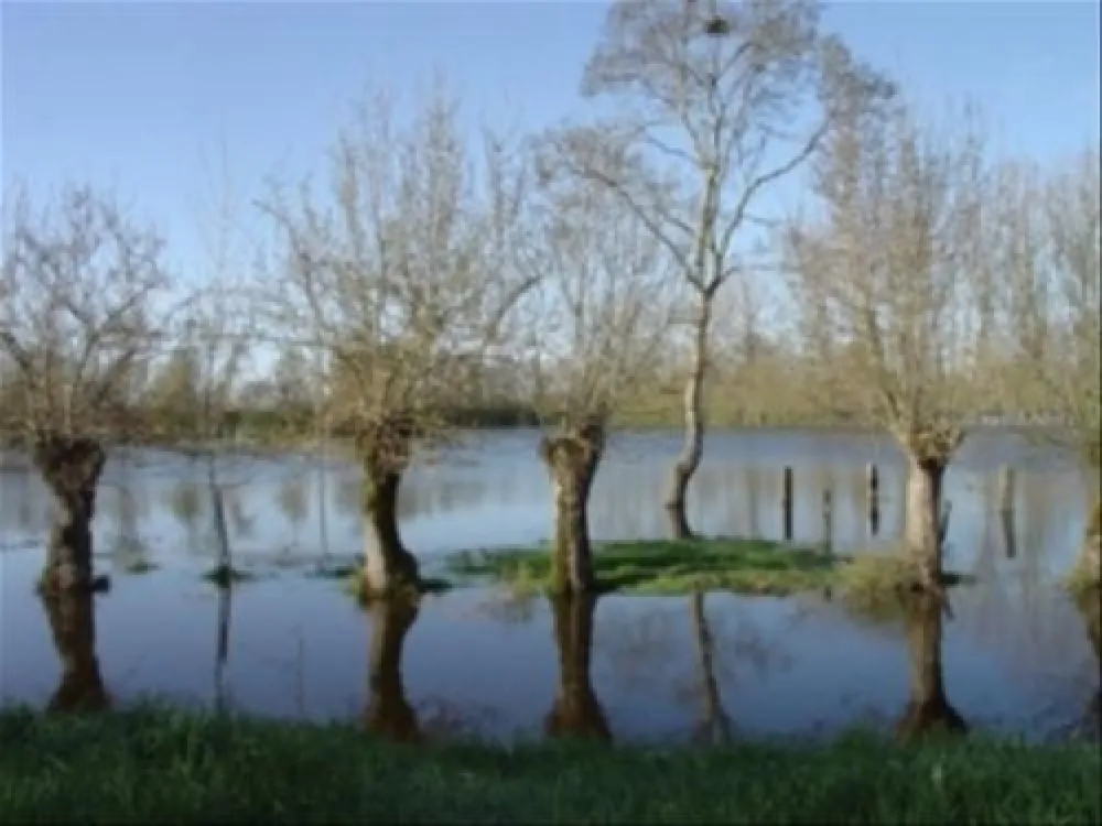 Flower Camping Le Lidon