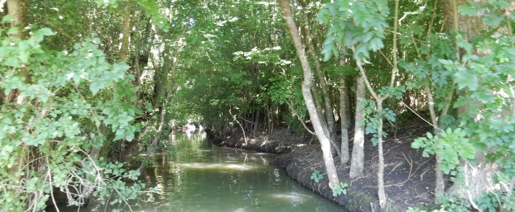 Flower Camping Le Lidon