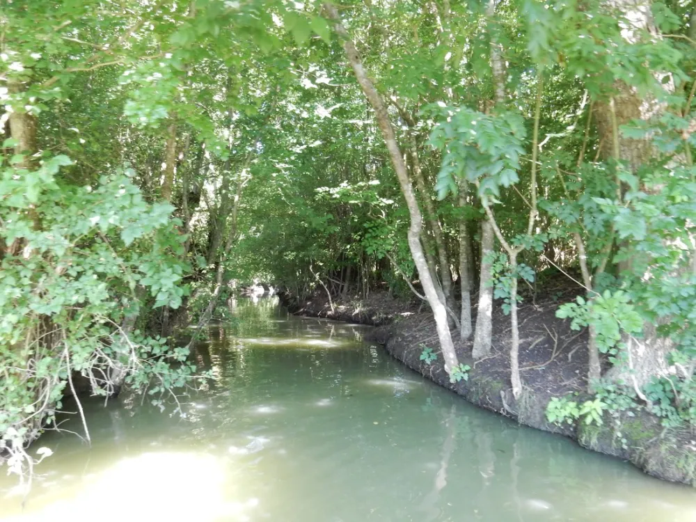 Flower Camping Le Lidon