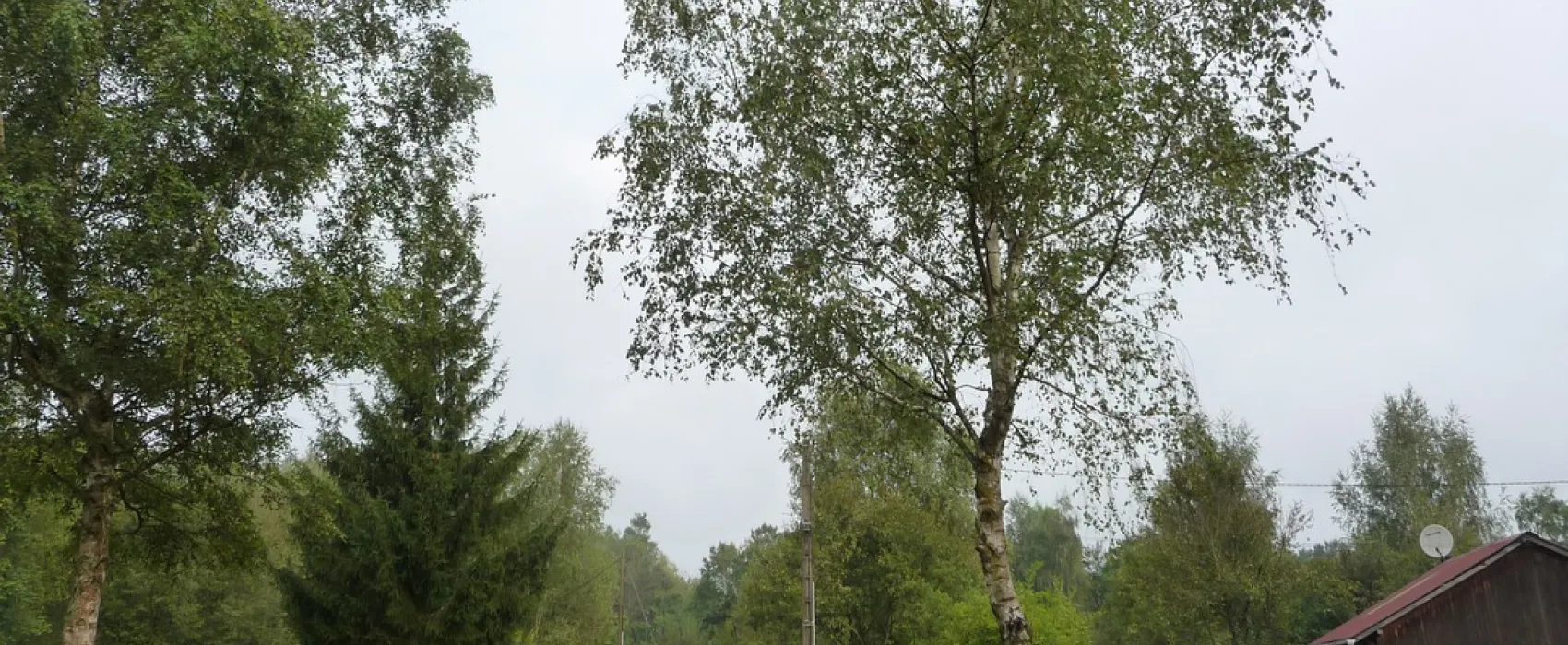 Camping Les Bouleaux