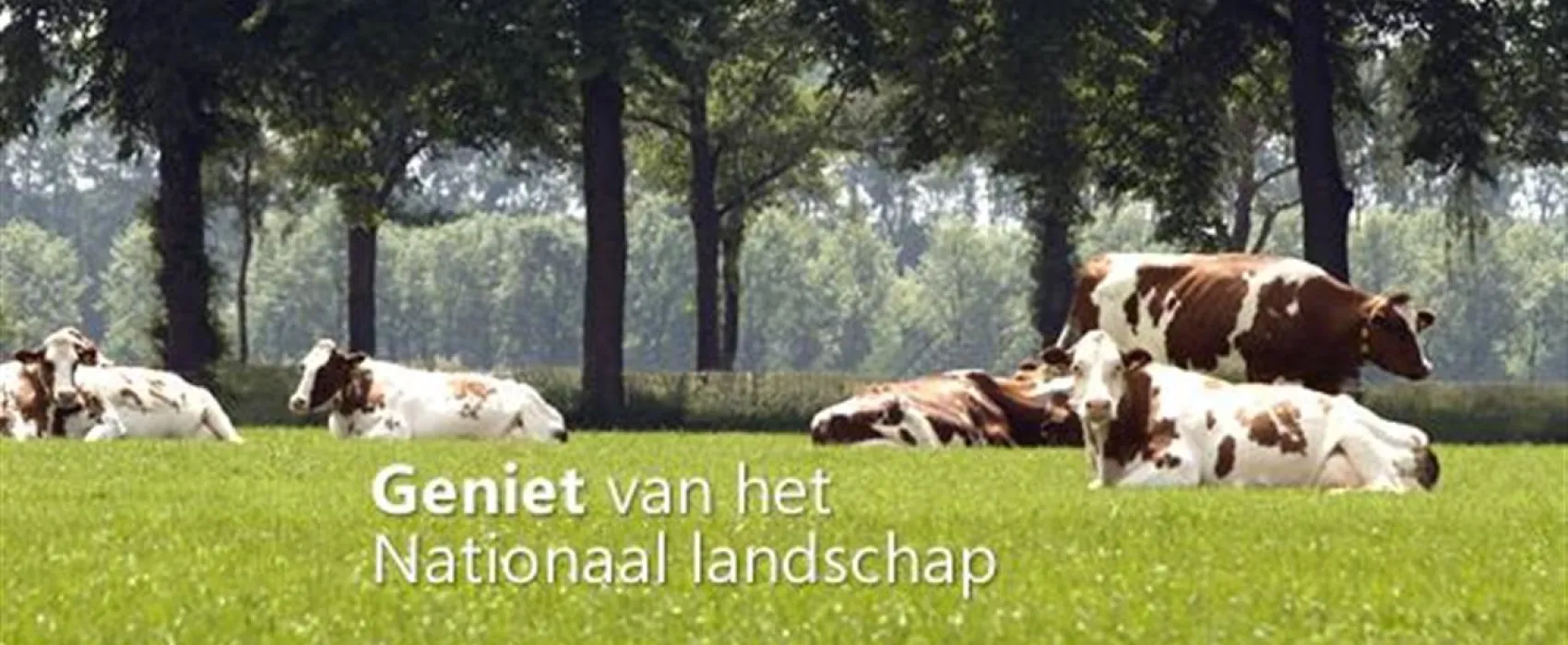 Vakantiepark De Twee Bruggen