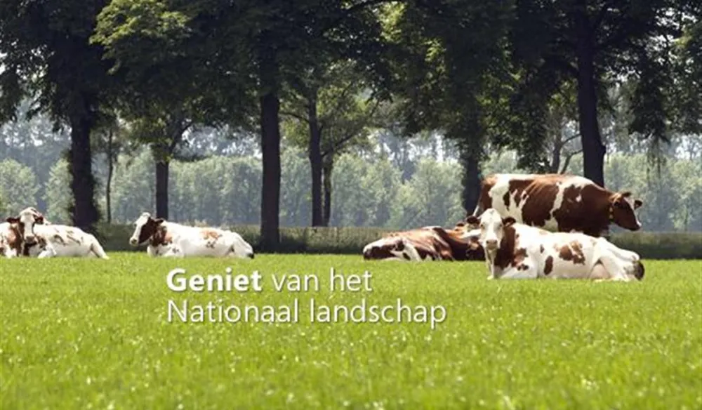 Vakantiepark De Twee Bruggen