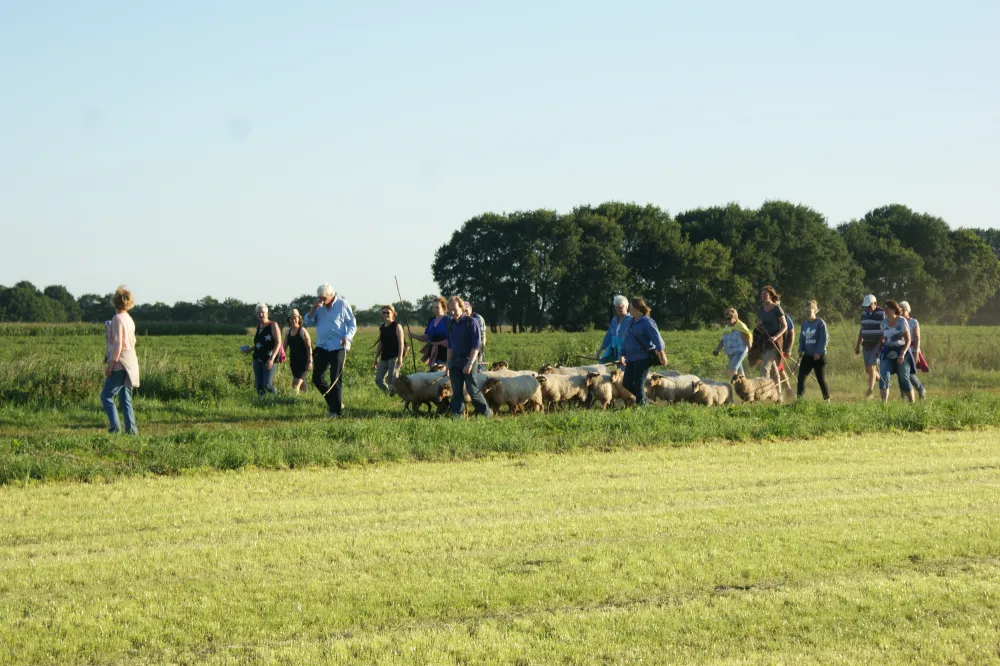 Erfgoed De Boemerang