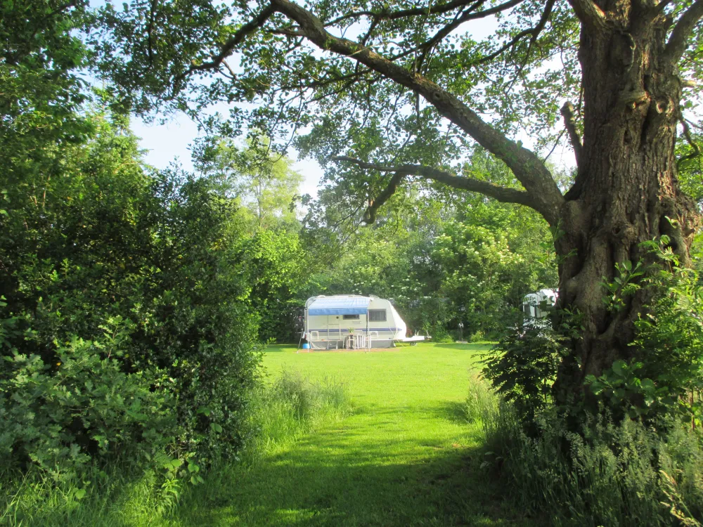 Erfgoed De Boemerang