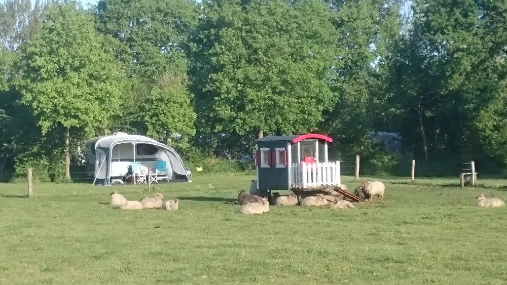 Erfgoed De Boemerang