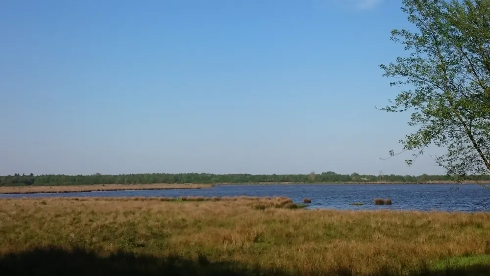 Erfgoed De Boemerang