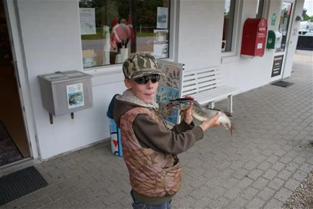 Skaven Strand Camping