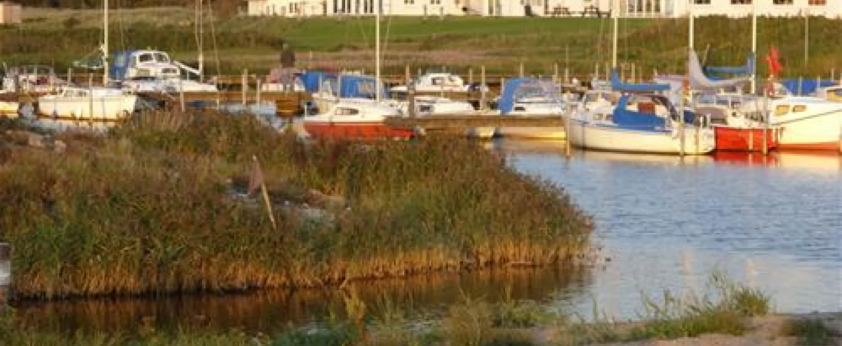 Skaven Strand Camping