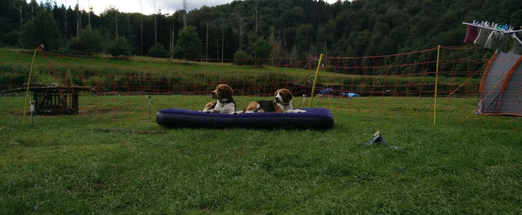 Camping Saint-remacle