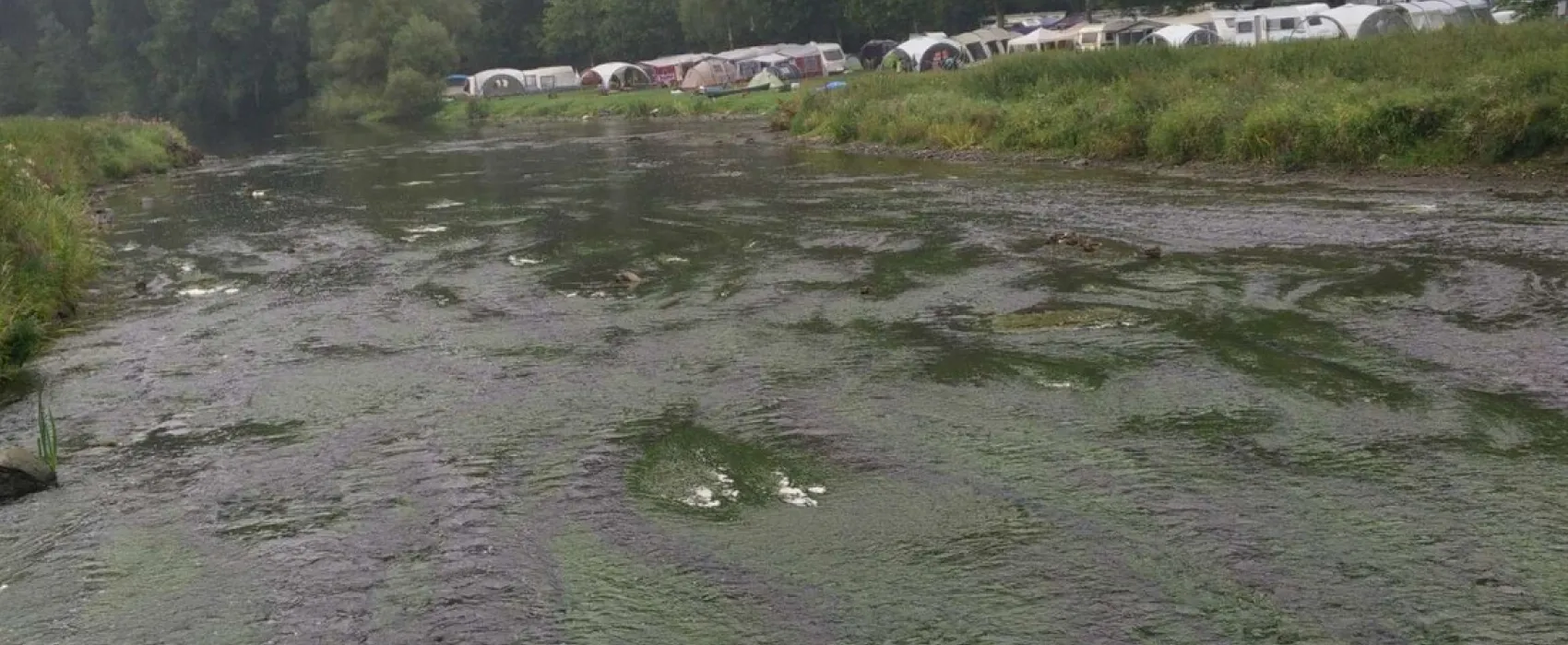 Camping Saint-remacle