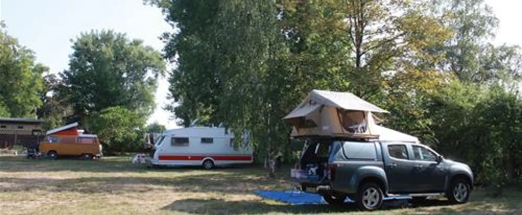 Camping Palucki Oddzial