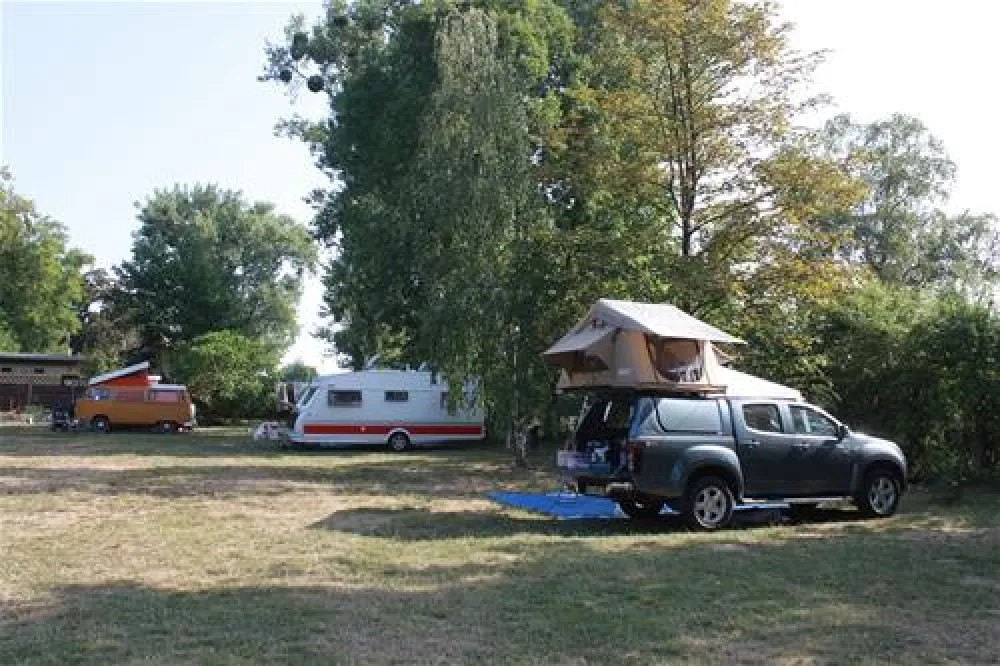 Camping Palucki Oddzial
